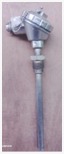 RESISTANCE BULB - TYPE: TTR-SD