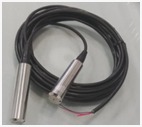 SENSOR MODEL P40WS/G1/4
